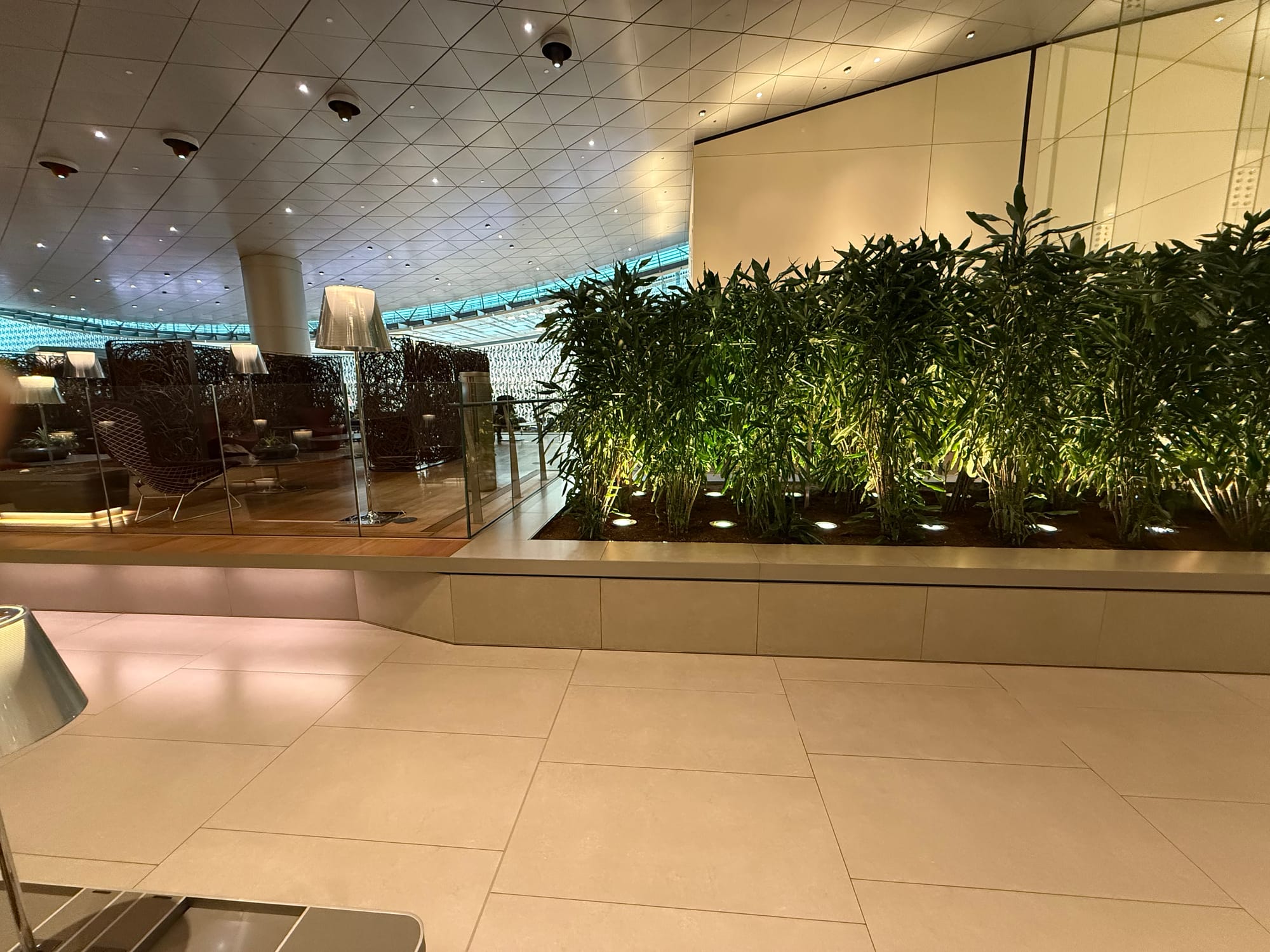 View from the 1st Lounge