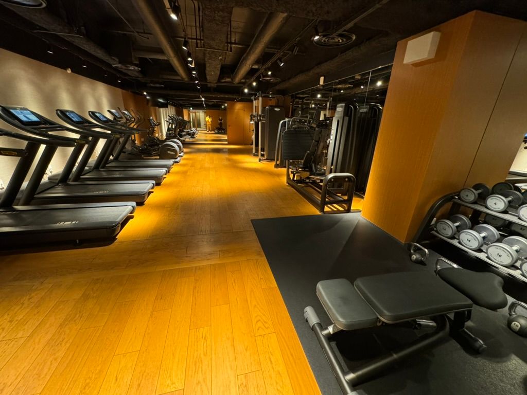 Gym equipment