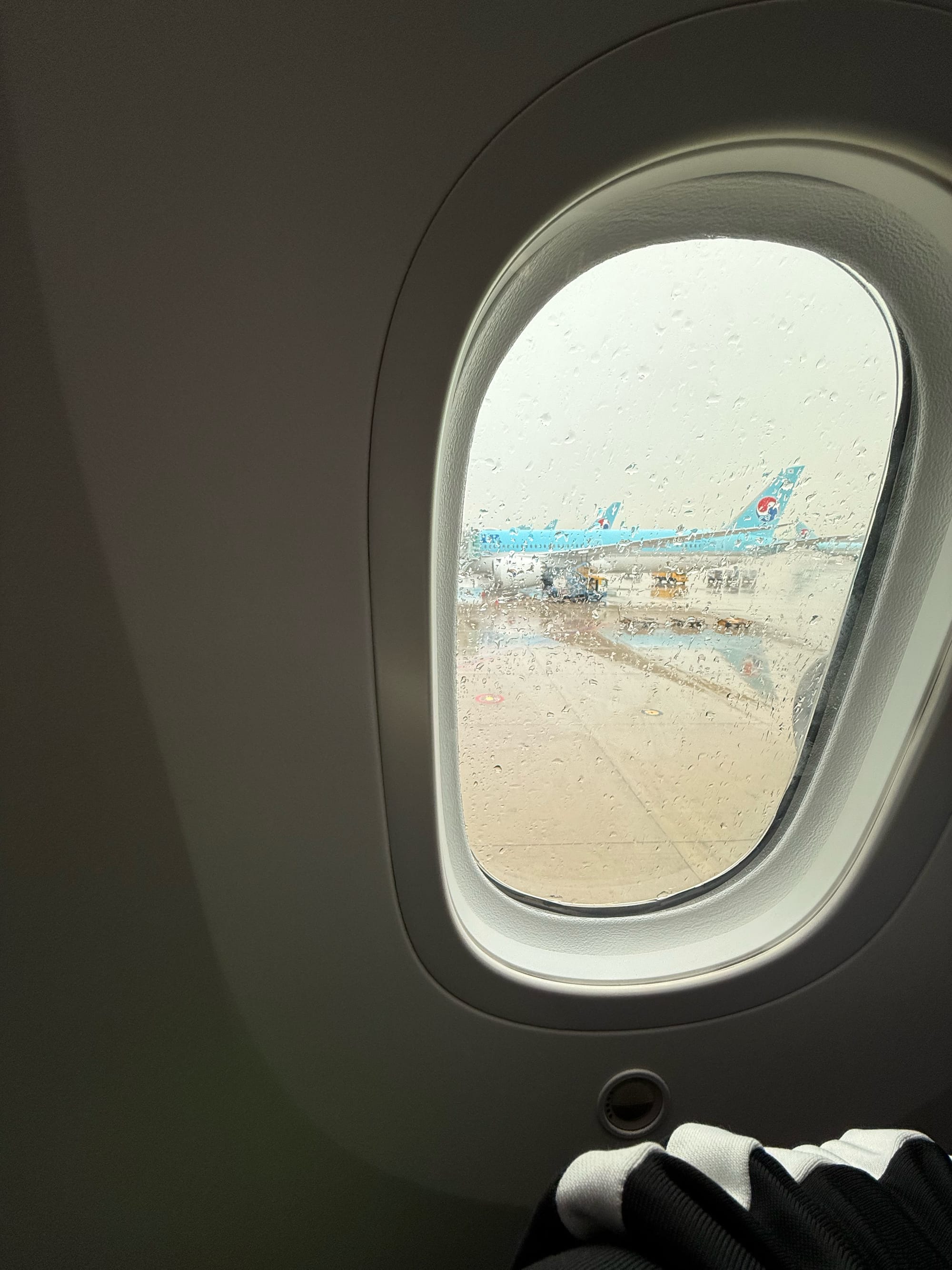View from the window