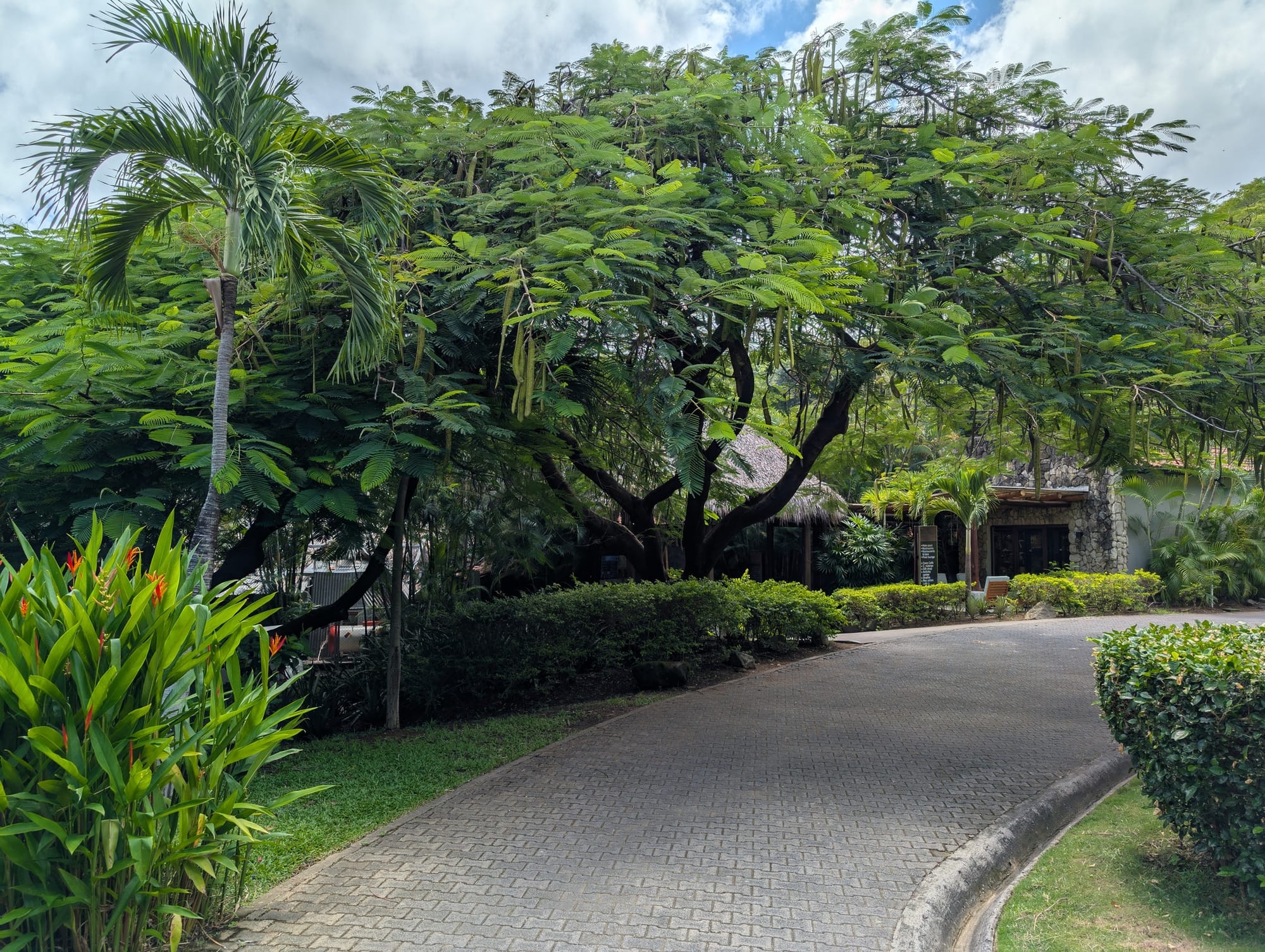 Secrets Papagayo — Don't stay here too long